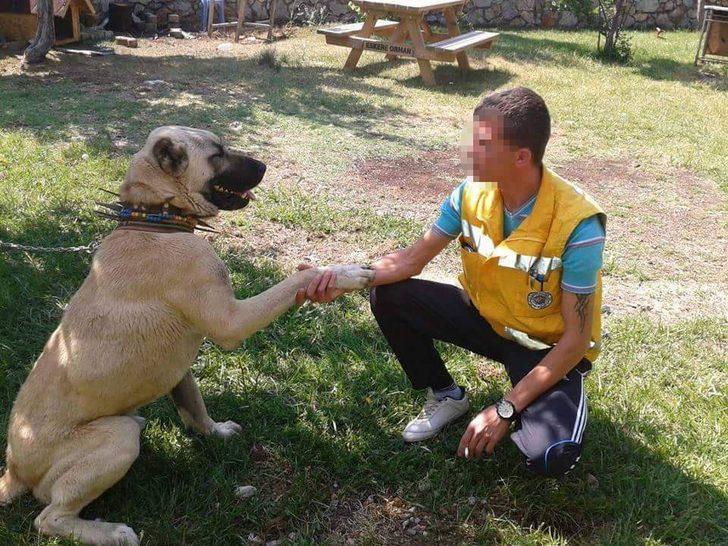 Denizli'de cesedi gömerken yakalanan acil tıp teknisyeniyle ilgili yeni gelişme! 2 pitbull köpeğe el koyuldu G3