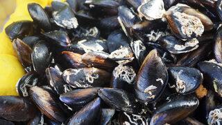 Taze midye nasıl olur?