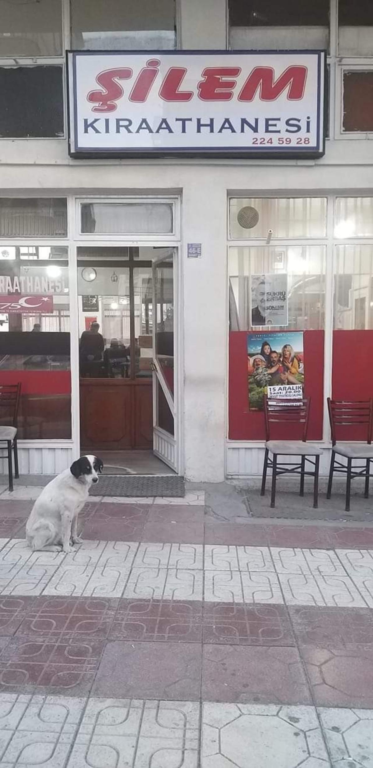 &Ouml;len sahibinin 6 aydır bu kapıdan &ccedil;ıkmasını bekliyor