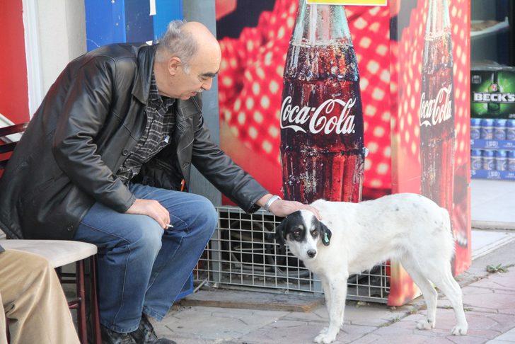 Ölen sahibinin 6 aydır bu kapıdan çıkmasını bekliyor G3