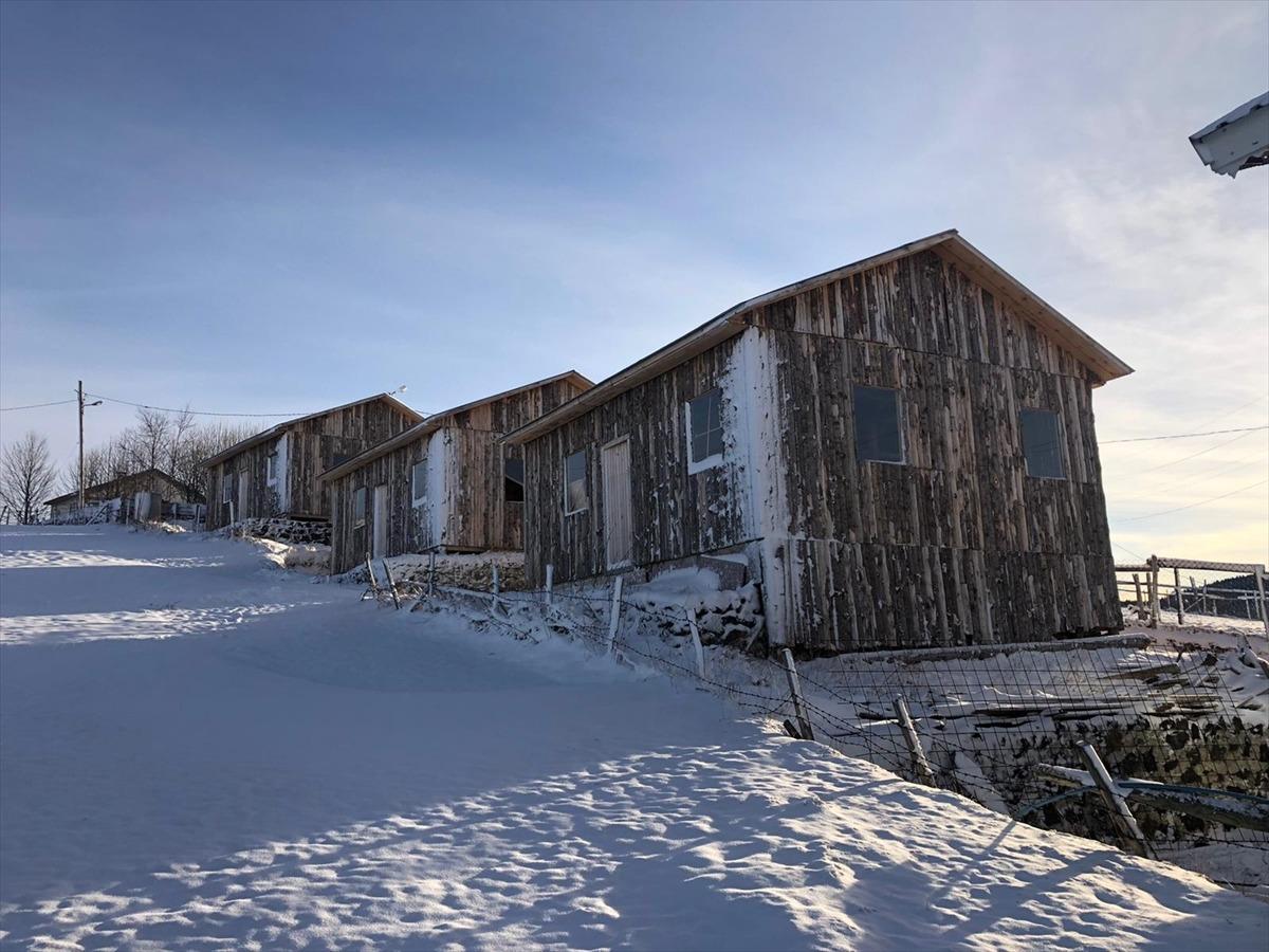 Trabzon'un yaylalarında ka&ccedil;ak yapılan 8 bina yıkıldı
