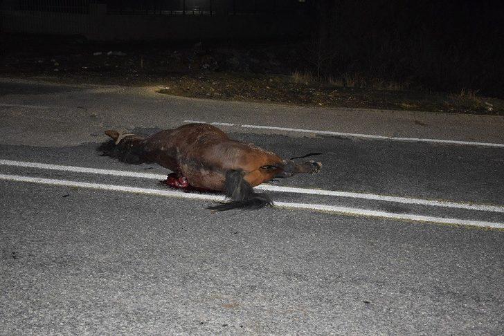 Elazığ’da  trafik kazası, eski başkan yaralandı G5