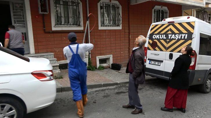 Sultangazi'de pitbull paniği! Apartman sakinleri korku dolu anlar yaşadı G5