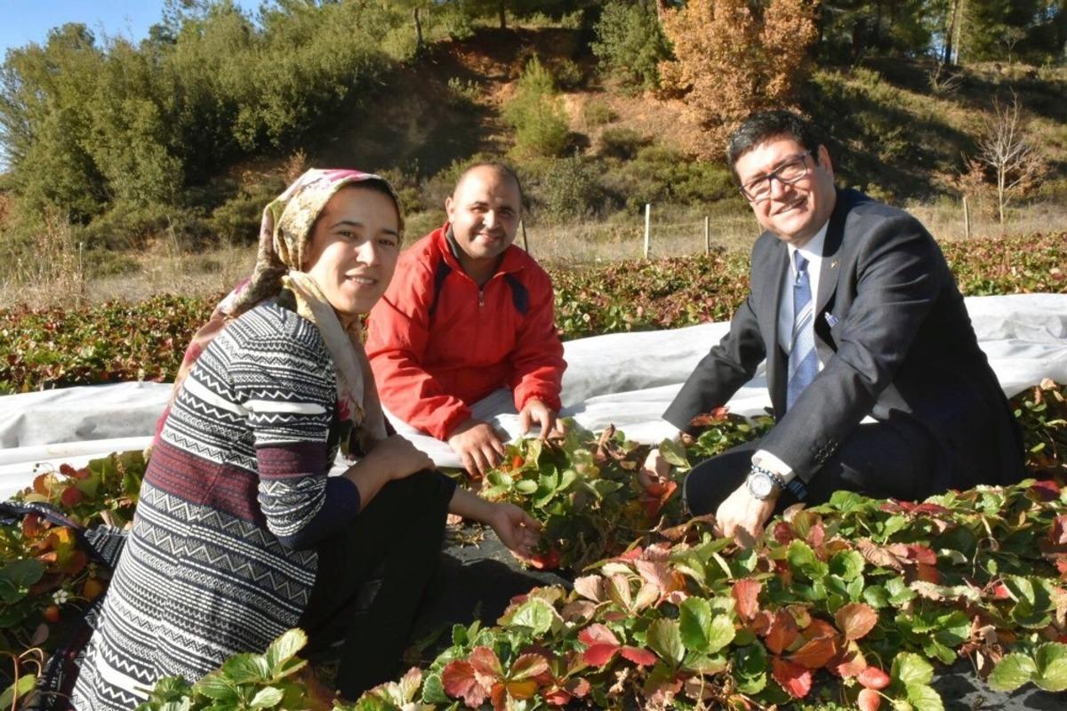 Saylak &ccedil;ift&ccedil;i ziyaretlerine başladı