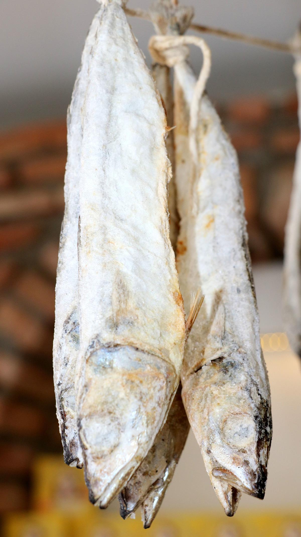 İpe asılarak kurutulan lezzet; uskumru &ccedil;iroz