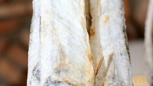 İpe asılarak kurutulan lezzet; uskumru çiroz