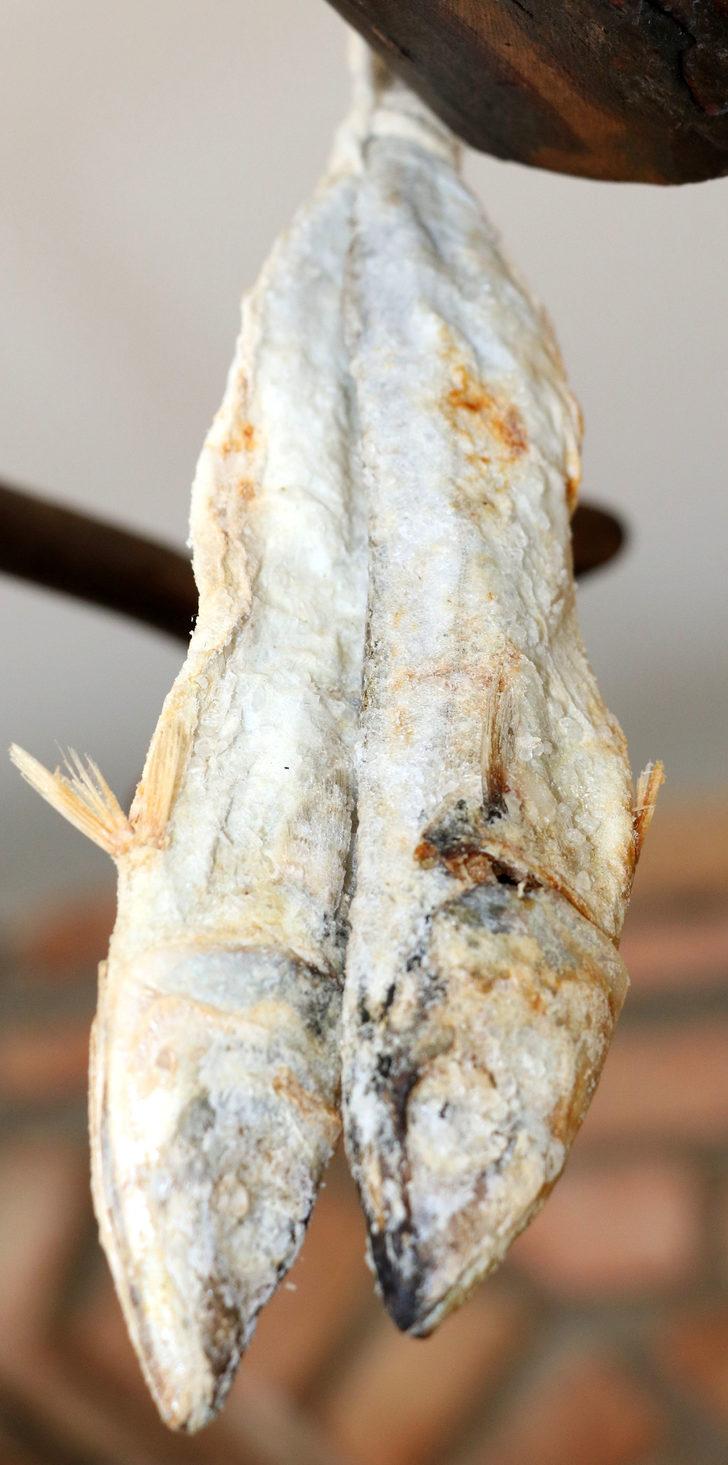 İpe asılarak kurutulan lezzet; uskumru çiroz G5