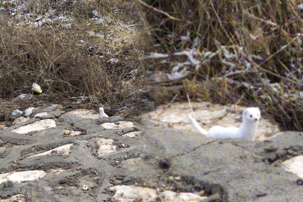 Kış aylarında renk değiştiriyor! Sivas&rsquo;ta g&ouml;r&uuml;nt&uuml;lendi