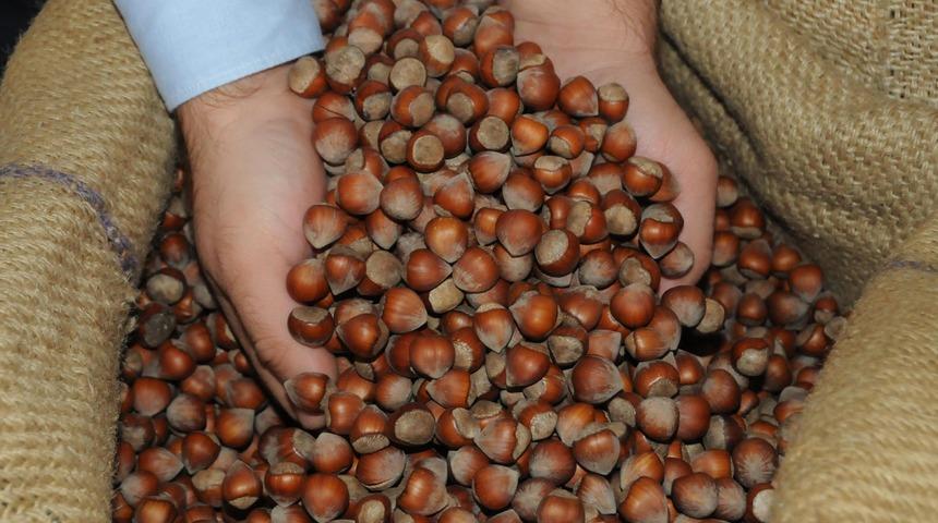 Gıda ve tarım ithalatında buğday, ihracatta fındık öne çıktı