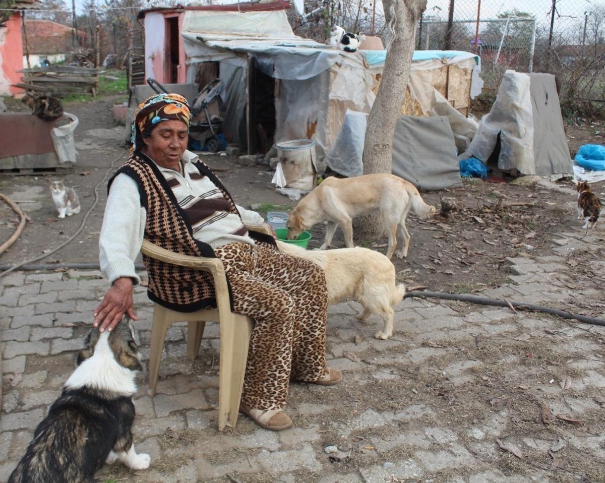 &rsquo;Fakirlik aylığını&rsquo; canlarla paylaşıyor