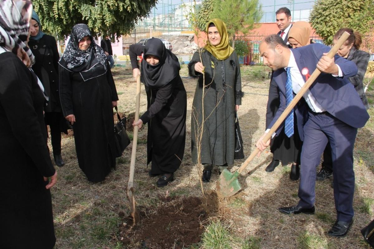 Beyazg&uuml;l engelli &ouml;ğrencilerle ağa&ccedil; dikti