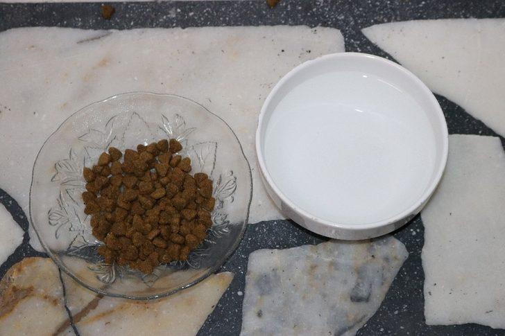 Diyarbakır'da şaşırtan görüntü! 'İnsan gibi yiyor' G3