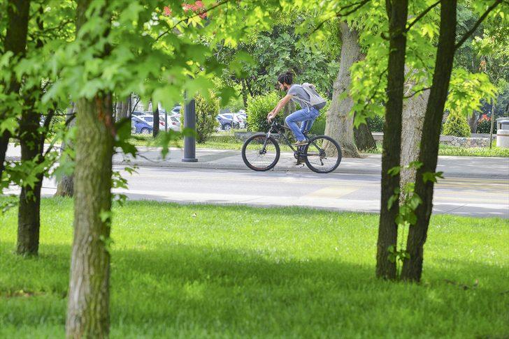 Dünyanın en yeşil kampüsleri belli oldu! Bakın Türkiye'den hangi üniversite listede G1