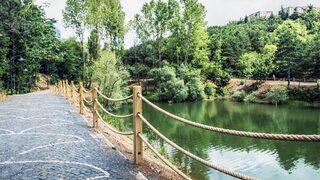 Dünyanın en yeşil kampüsleri belli oldu! Bakın Türkiye'den hangi üniversite listede