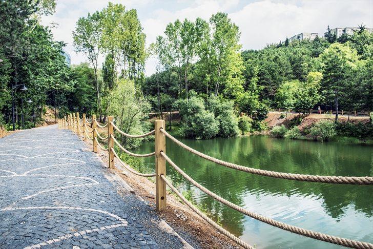 Dünyanın en yeşil kampüsleri belli oldu! Bakın Türkiye'den hangi üniversite listede G2