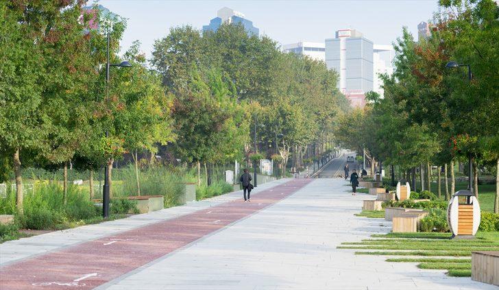 Dünyanın en yeşil kampüsleri belli oldu! Bakın Türkiye'den hangi üniversite listede G3