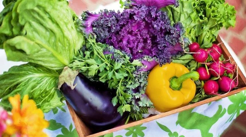 "Gıda ve beslenme" Ankara'daki konferansta tartışılacak