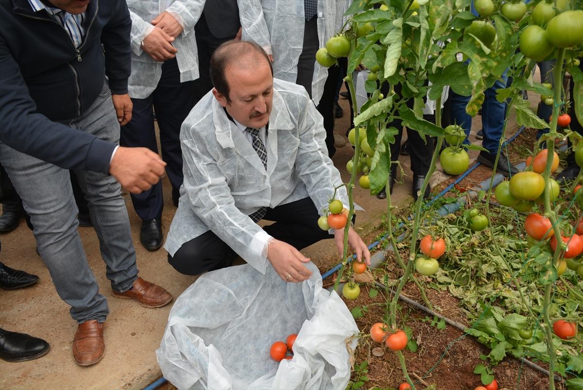 Habur Sınır Kapısı'ndan ihracat y&uuml;zde 30 y&uuml;kseldi