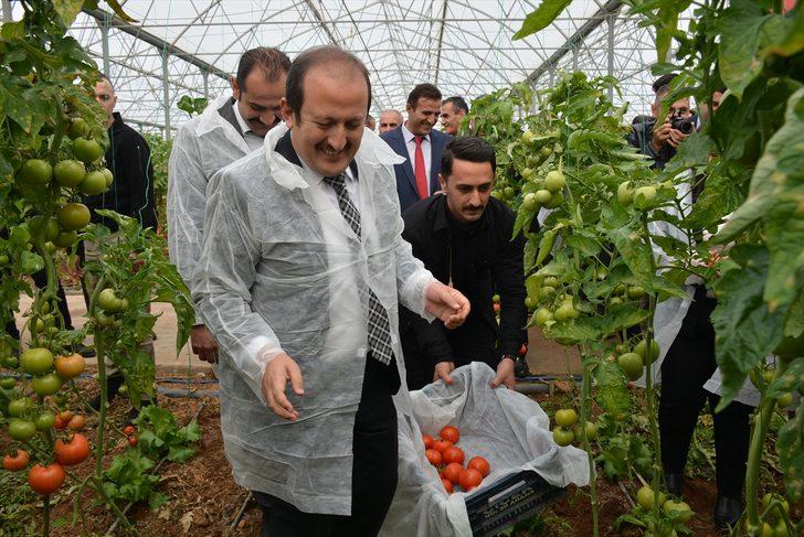 Habur Sınır Kapısı'ndan ihracat yüzde 30 yükseldi G2
