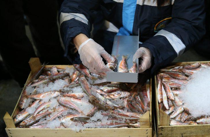 Ankara'da balıkçılara yönelik şafak vakti denetim gerçekleştirildi G2