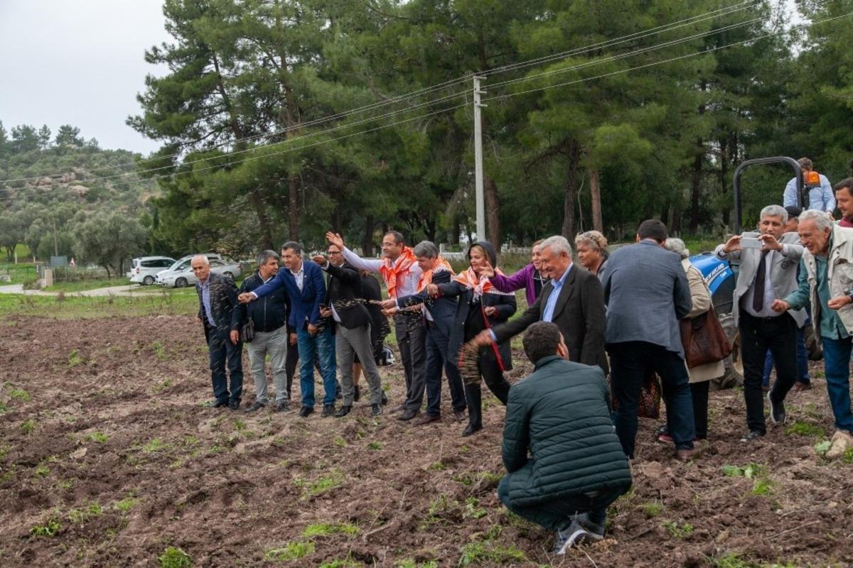 Bodrum&rsquo;da ata tohumları geleceğe serpildi