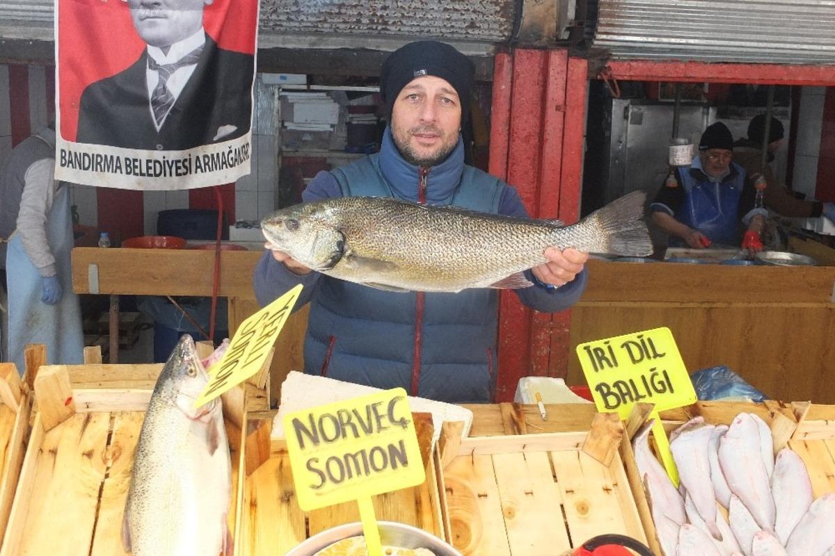 (&Ouml;zel) Son iki yılda palamut y&uuml;zde 90 azaldı