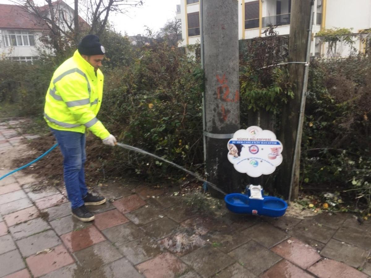 Sokak hayvanlarının mamalıkları temizlendi
