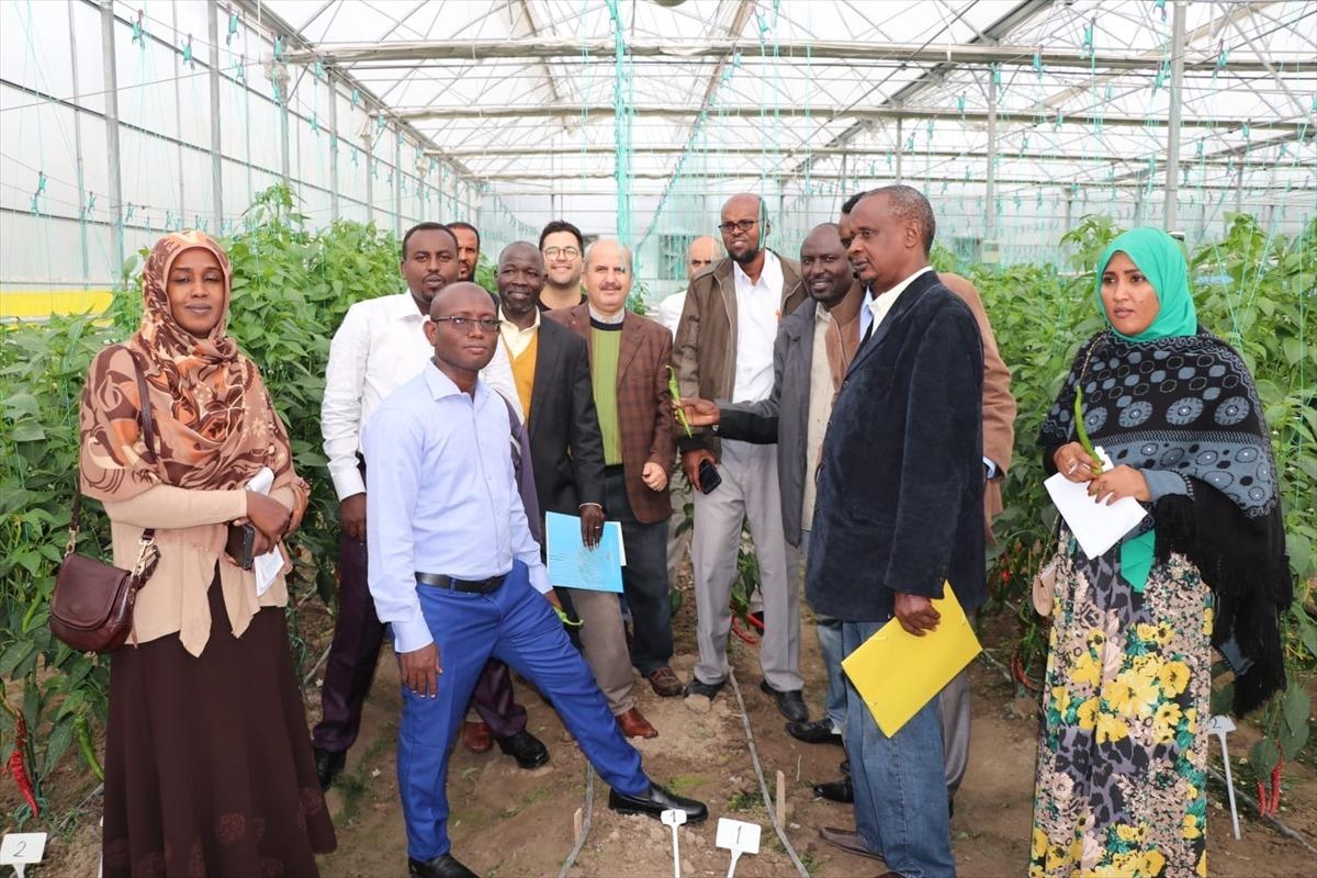 TİKA'dan Afrikalı tarım uzmanlarına eğitim desteği