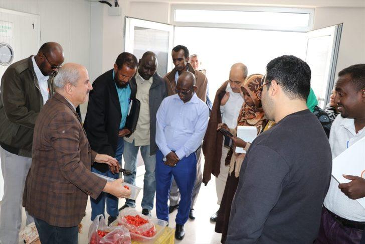 TİKA'dan Afrikalı tarım uzmanlarına eğitim desteği G2