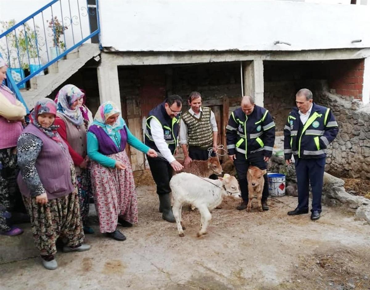 Yerli ırk, vetiver ile iki kat b&uuml;y&uuml;yecek