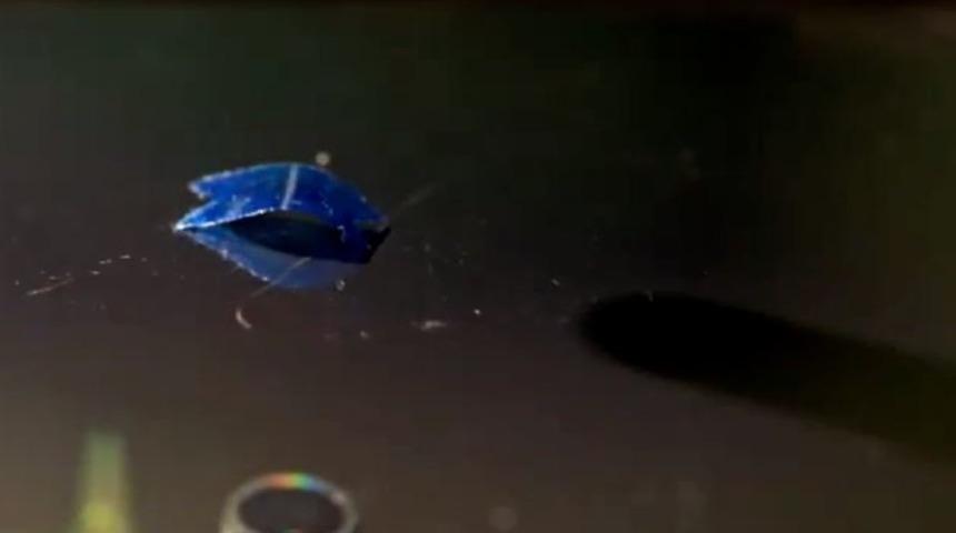 Plastiğe yürümeyi öğrettiler!