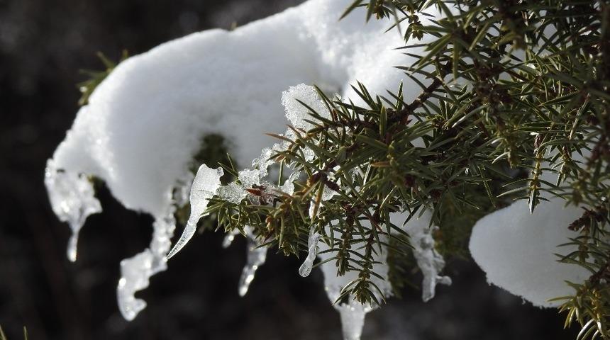 Doğu’da 6 ilde kuvvetli buzlanma ve don uyarısı