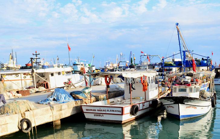 Balon balıkları Kızıldeniz’e kaçtı G5