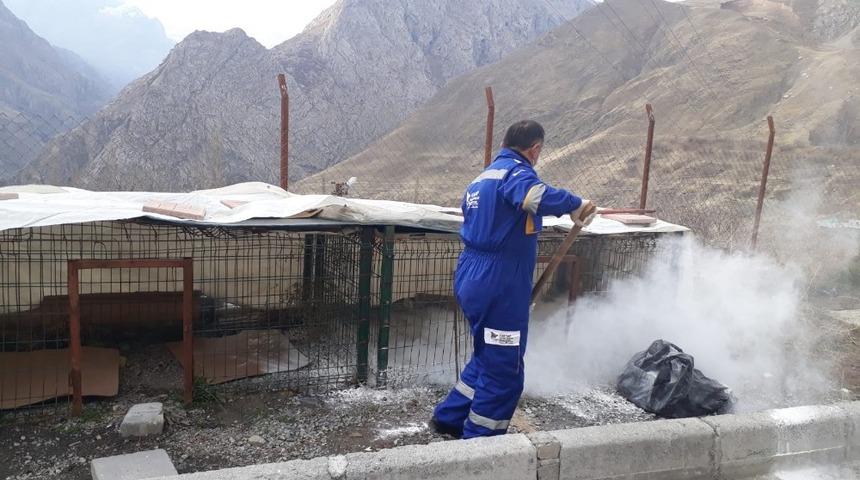 Hakkari&rsquo;de hayvan bakım evleri dezenfekte edildi