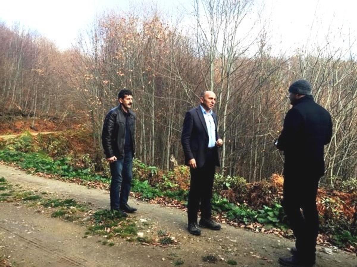 M&uuml;d&uuml;r Keskin, kayın ormanlarında incelemelerde bulundu