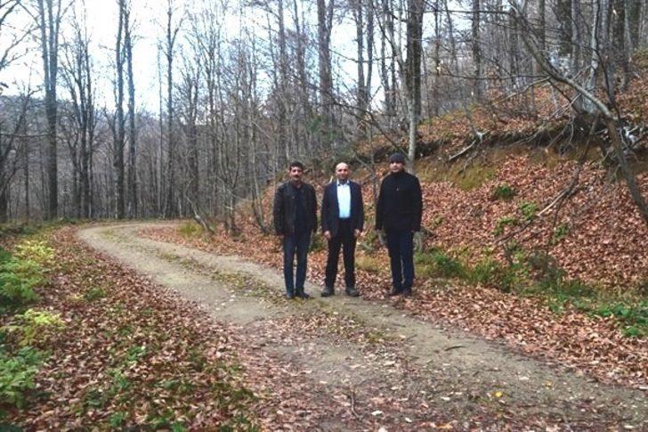 Müdür Keskin, kayın ormanlarında incelemelerde bulundu G2