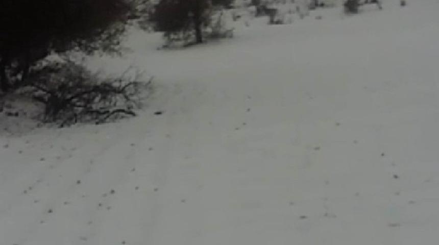 Diyarbakır&rsquo;a yılın ilk karı yağdı