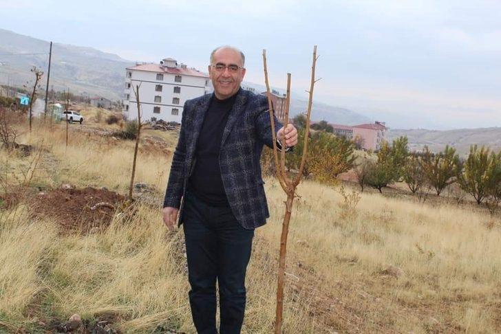 Çemişgezek’te 2 bin dut fidanı toprakla buluşturuldu G2