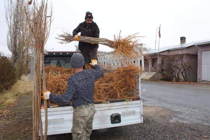 Çemişgezek’te 2 bin dut fidanı toprakla buluşturuldu G3