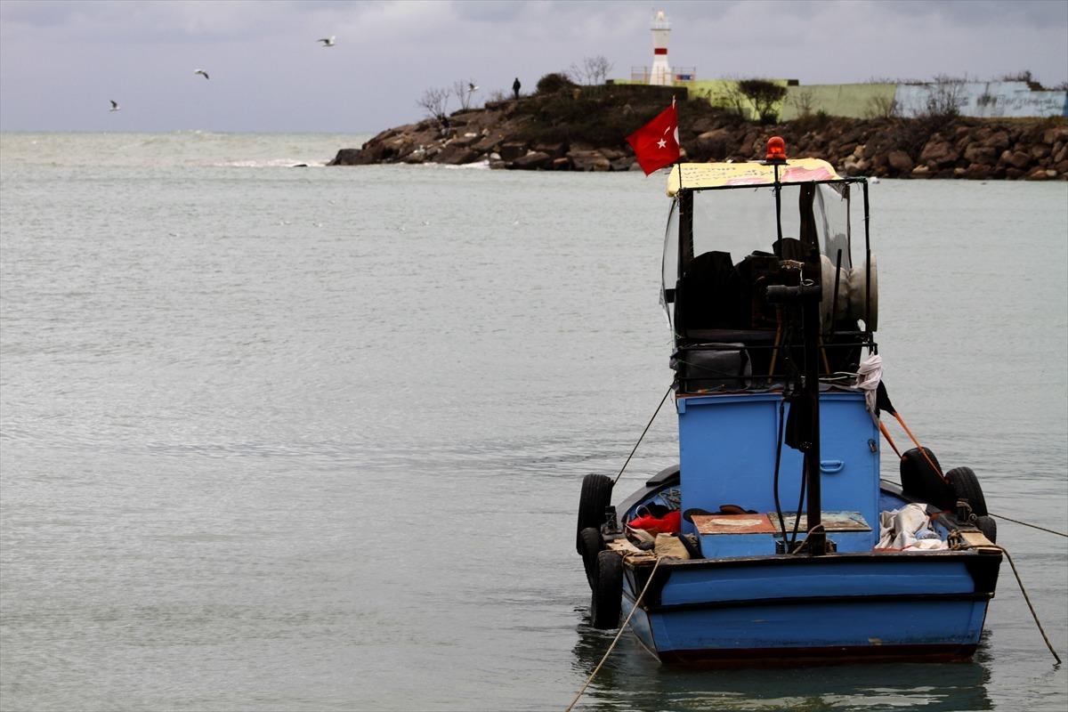 Hamsi Batı Karadeniz'i terk ediyor