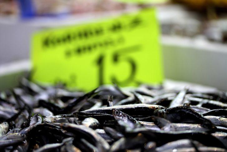 Hamsi Batı Karadeniz'i terk ediyor G3