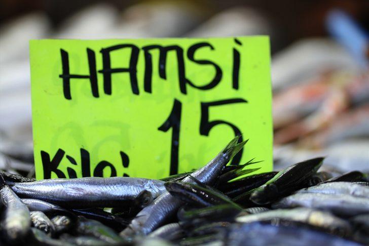 Hamsi Batı Karadeniz'i terk ediyor G4