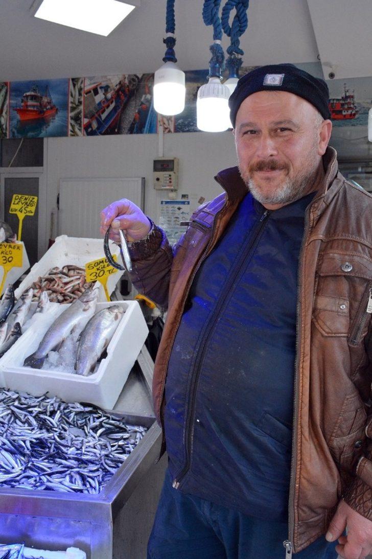 Deniz soğudu, hamsi büyüdü G3