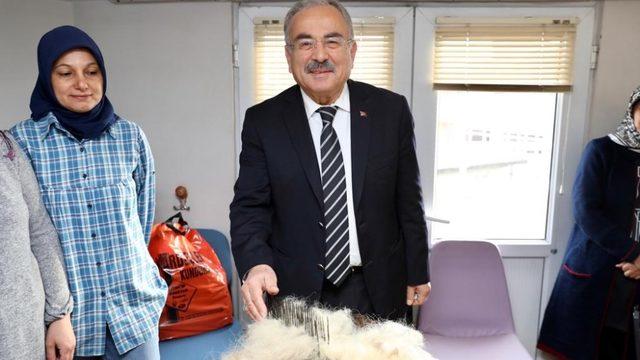 Ordu’da koyun yünleri ekonomiye kazandırılıyor