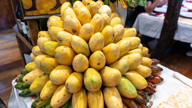 Mangonun faydaları nelerdir? Altın yumurtlayan meyve olarak bilinen mangonun sağlığa etkileri