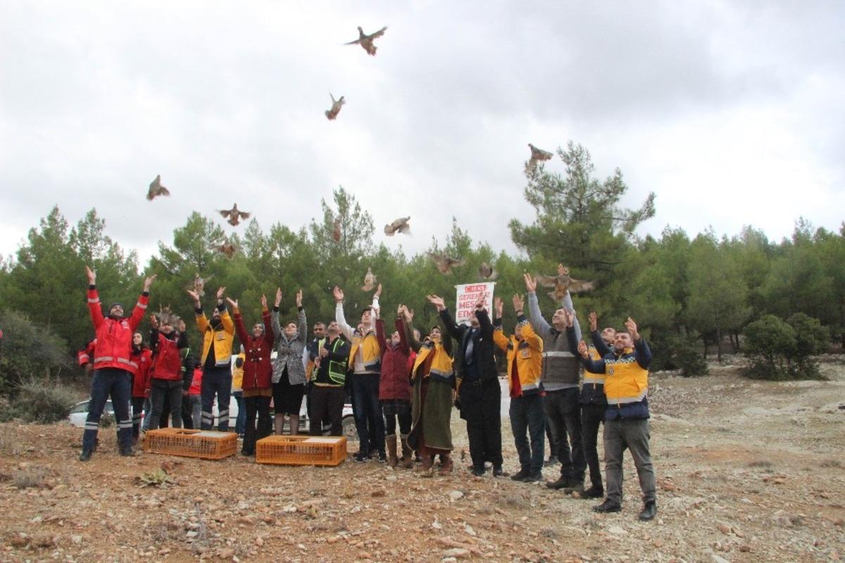 112&rsquo;nin kuruluş yıl d&ouml;n&uuml;m&uuml;nde doğaya keklikler salındı