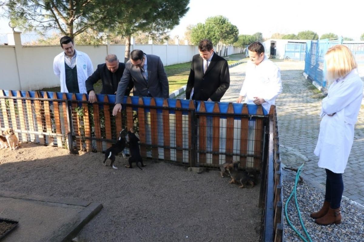 Manisa&rsquo;da hayvan bakım merkezleri kışa hazır