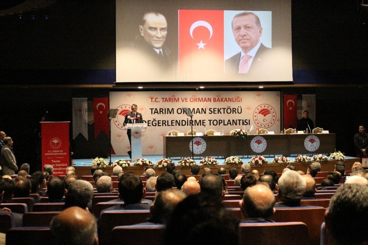 Uşak&rsquo;a &lsquo;Tarıma dayalı jeotermal enerji ile ısıtmalı sera OSB&rsquo; m&uuml;jdesi