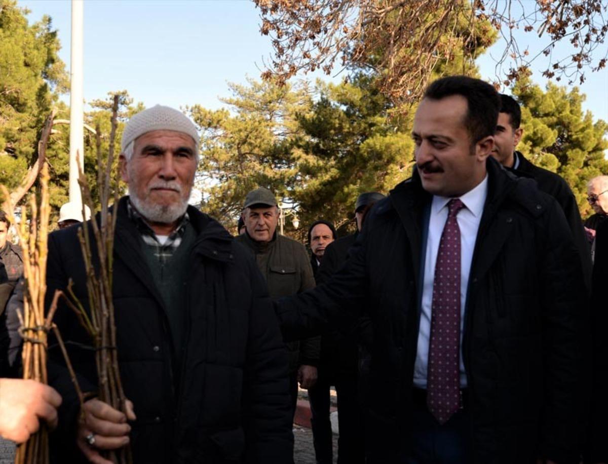 S&ouml;ğ&uuml;t&rsquo;te 10 bin 400 sertifikalı ceviz fidanı dağıtıldı