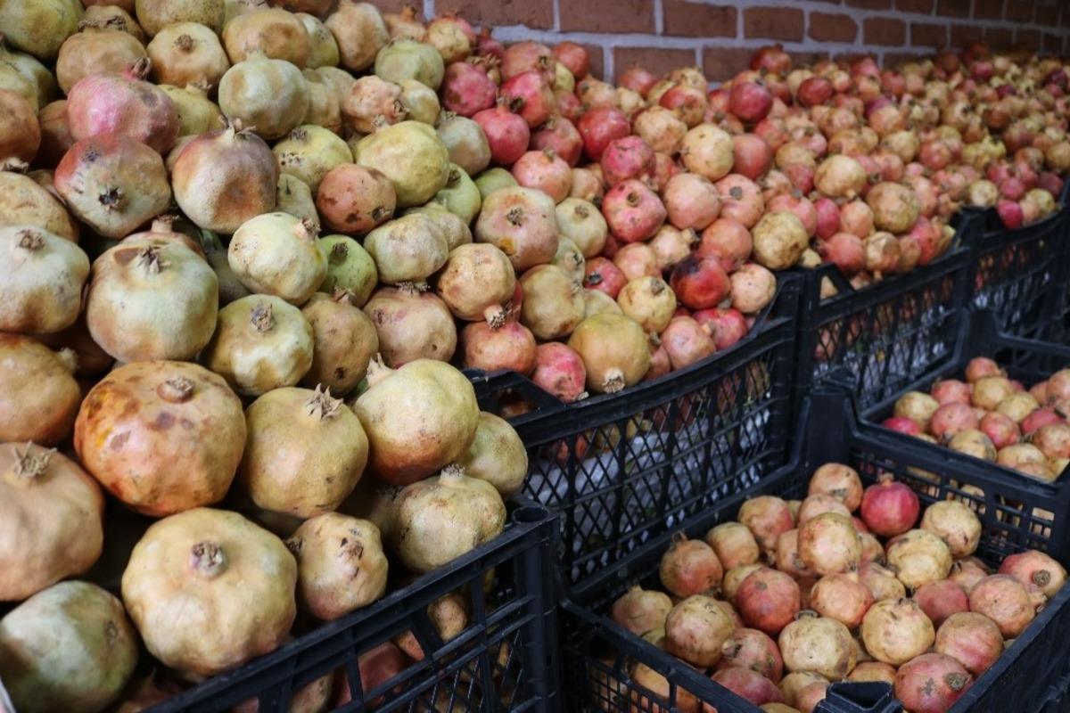 Kış aylarının vazge&ccedil;ilmezi Zivzik narı